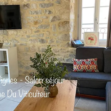 Le Domaine Du Viticulteur - Les Vignes *