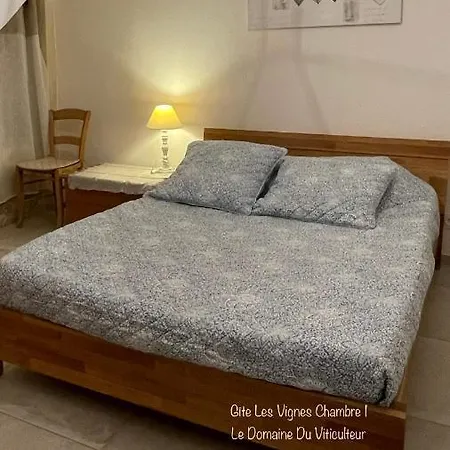 Holiday home Le Domaine Du Viticulteur - Les Vignes *