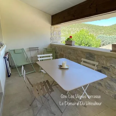 Le Domaine Du Viticulteur - Les Vignes *