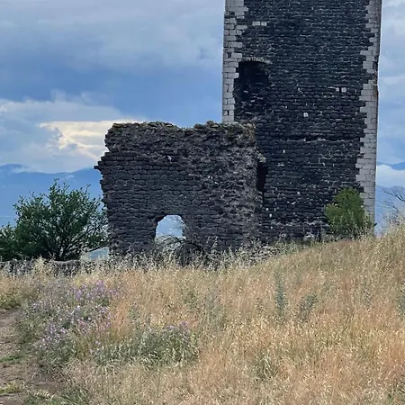Le Domaine Du Viticulteur - Les Vignes Saint-Maurice-d'Ibie