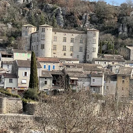 Le Domaine Du Viticulteur - Les Vignes Holiday home