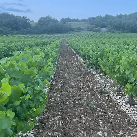 Holiday home Le Domaine Du Viticulteur - Les Vignes *