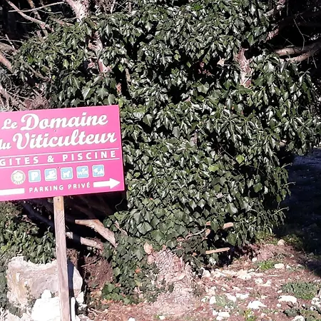 Le Domaine Du Viticulteur - Les Vignes *